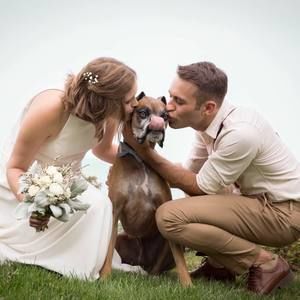 Meet your Posher, Lily